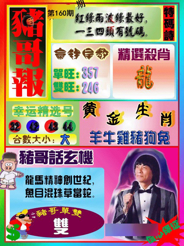 猪哥报