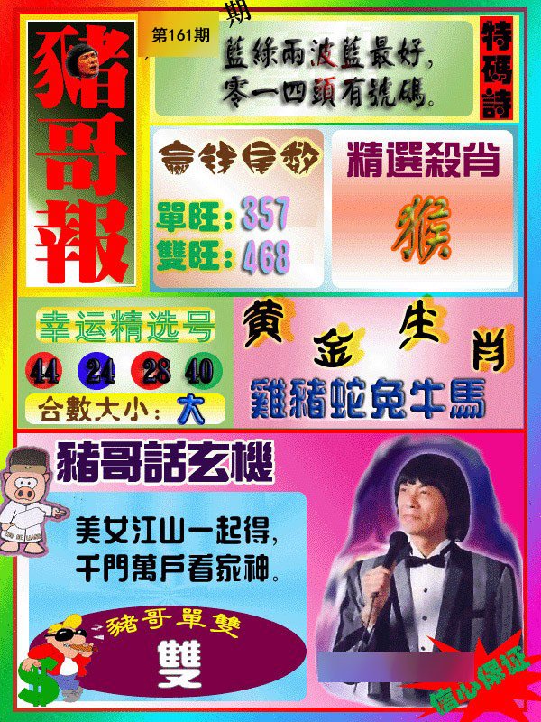 猪哥报