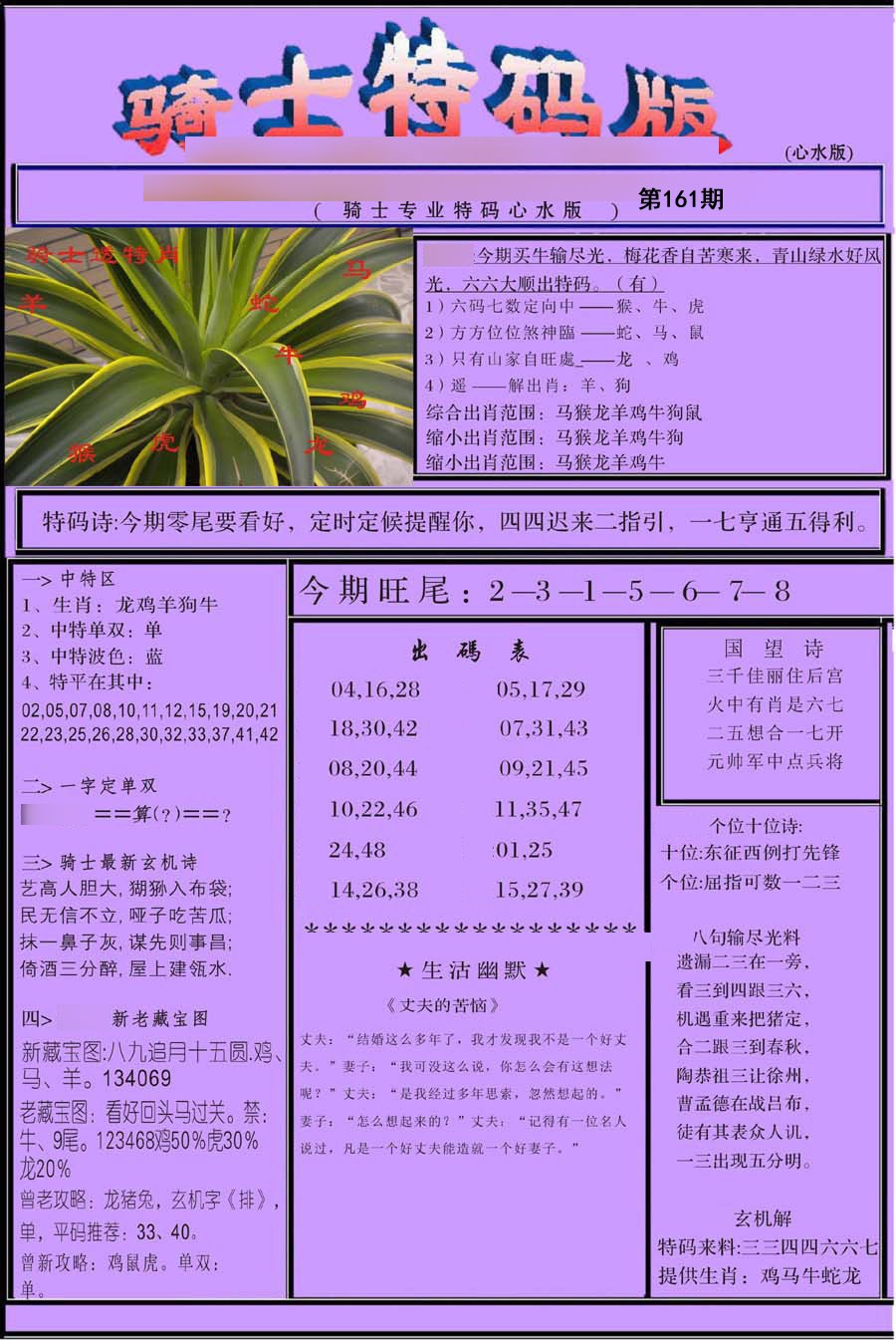骑士特别