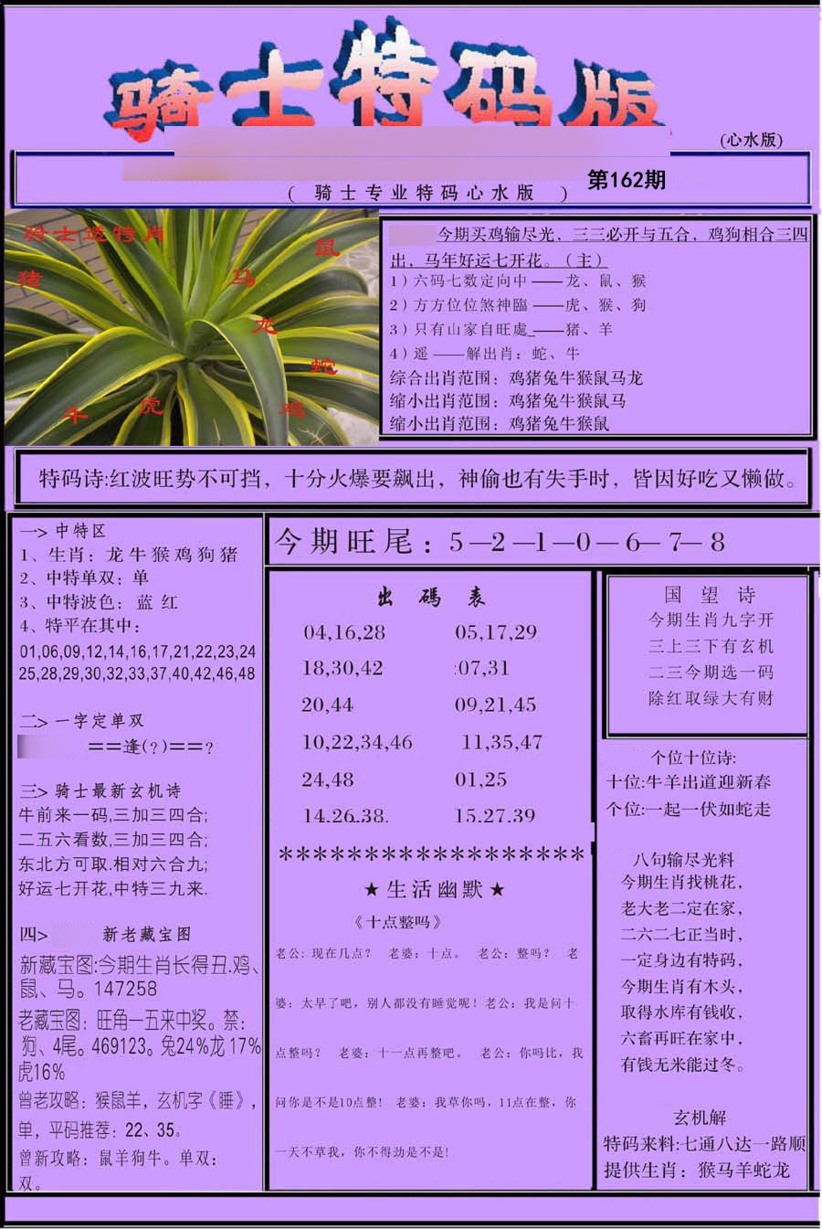 骑士特别
