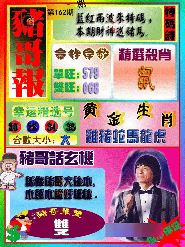 猪哥报