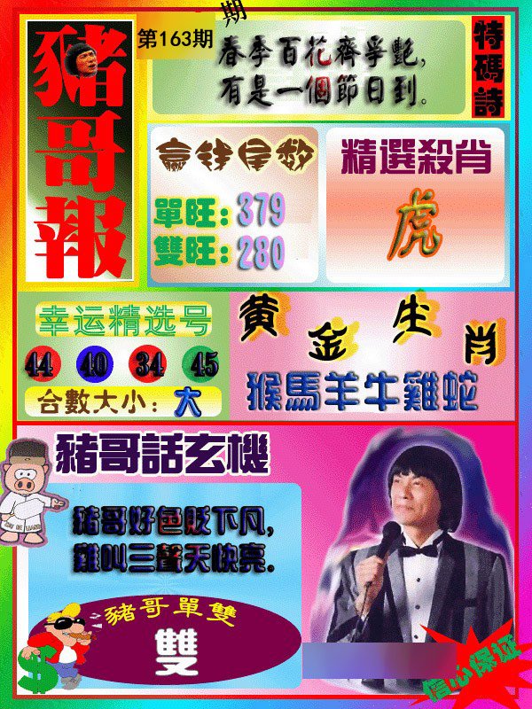 猪哥报