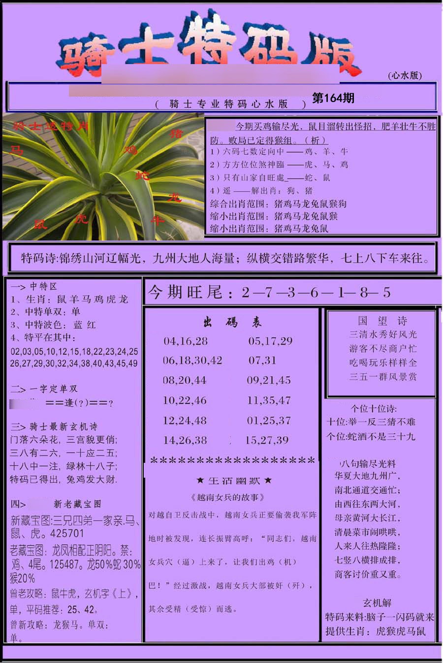 骑士特别