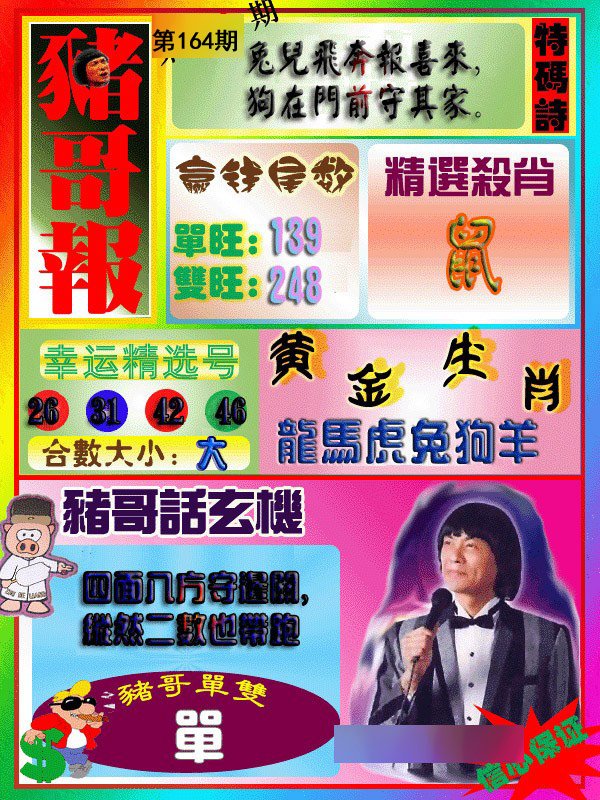 猪哥报