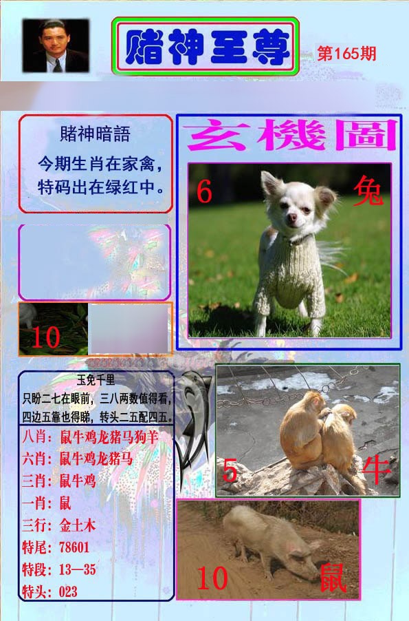 至尊报