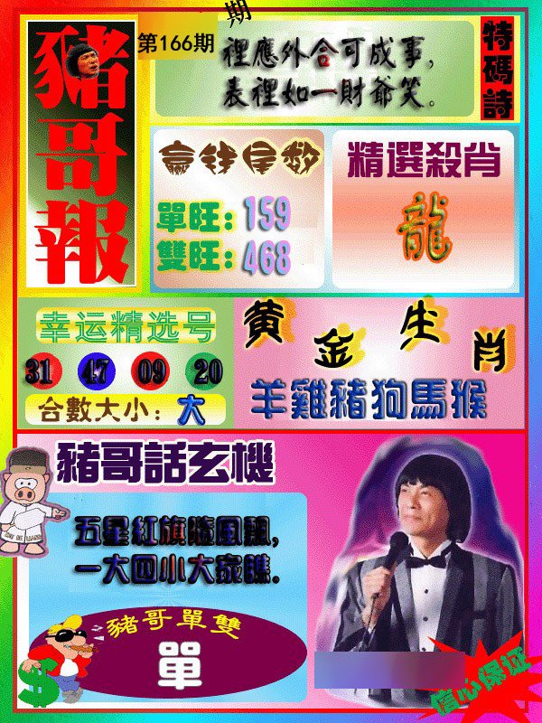 猪哥报