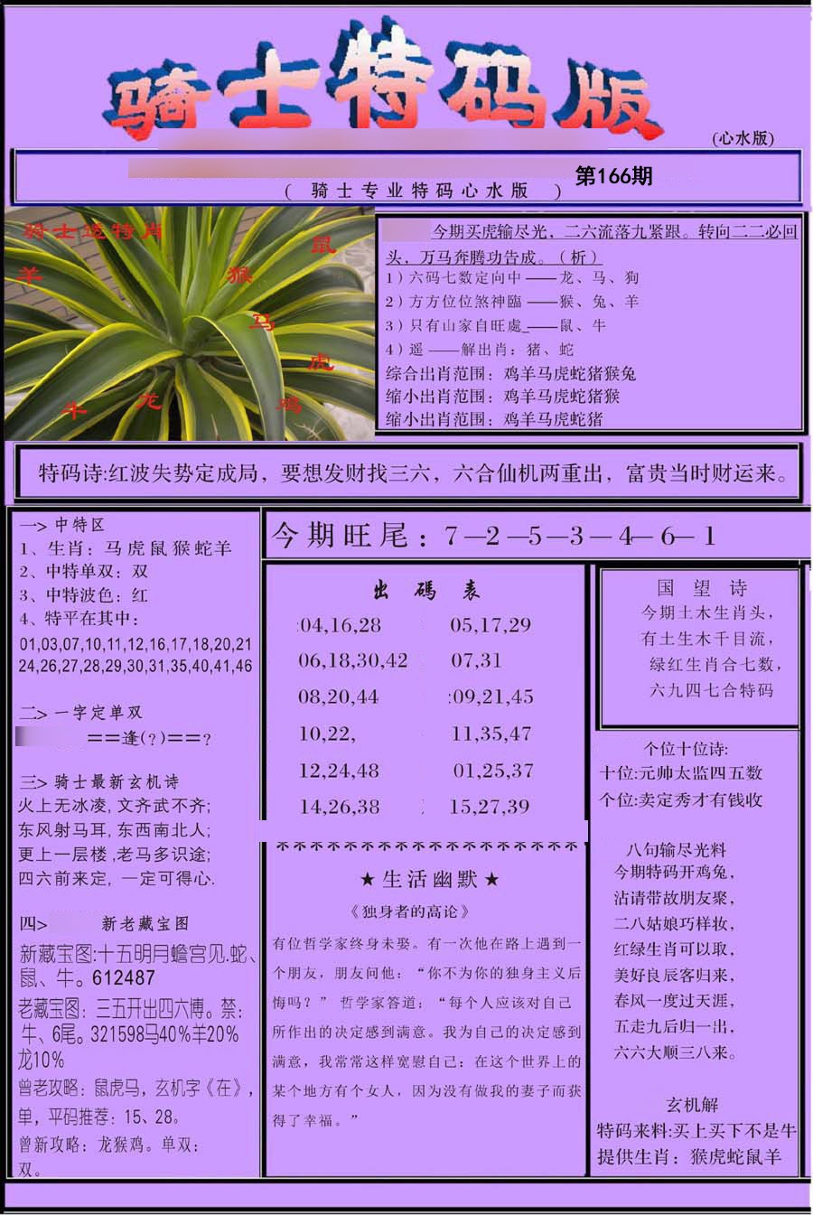 骑士特别