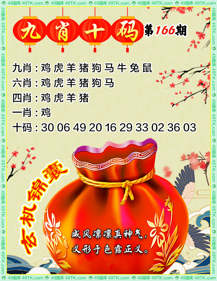 九肖十码