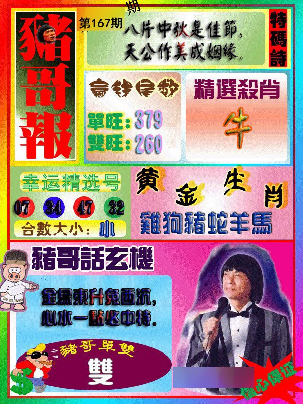 猪哥报