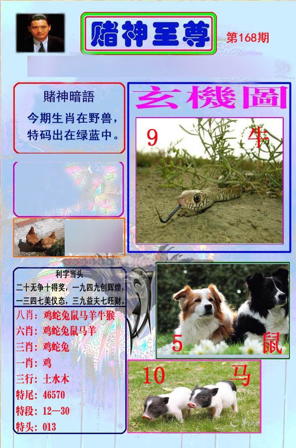 至尊报
