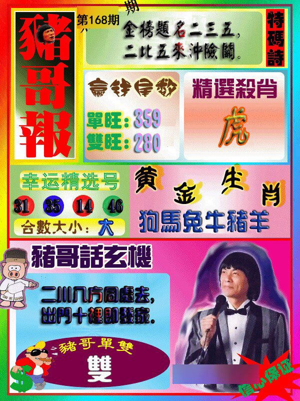 猪哥报