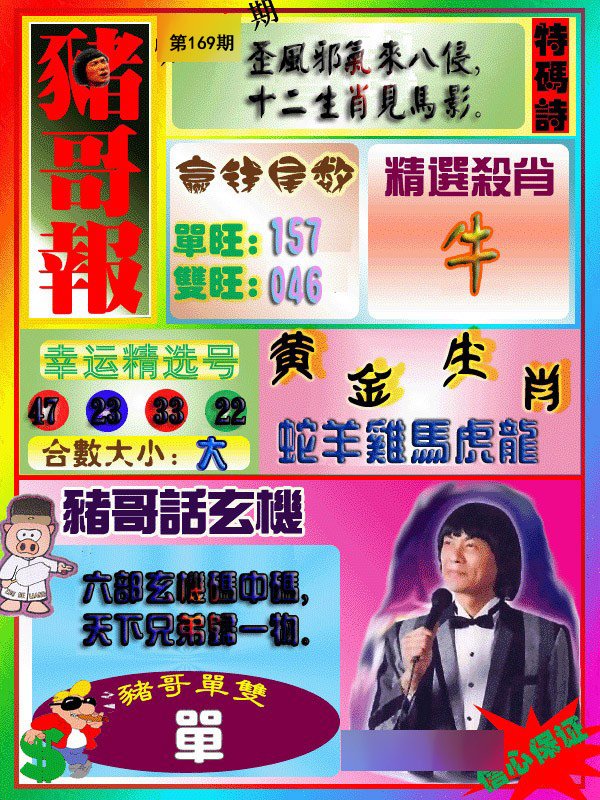 猪哥报