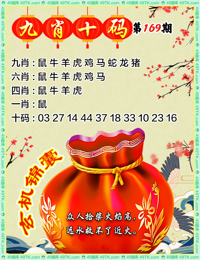 九肖十码