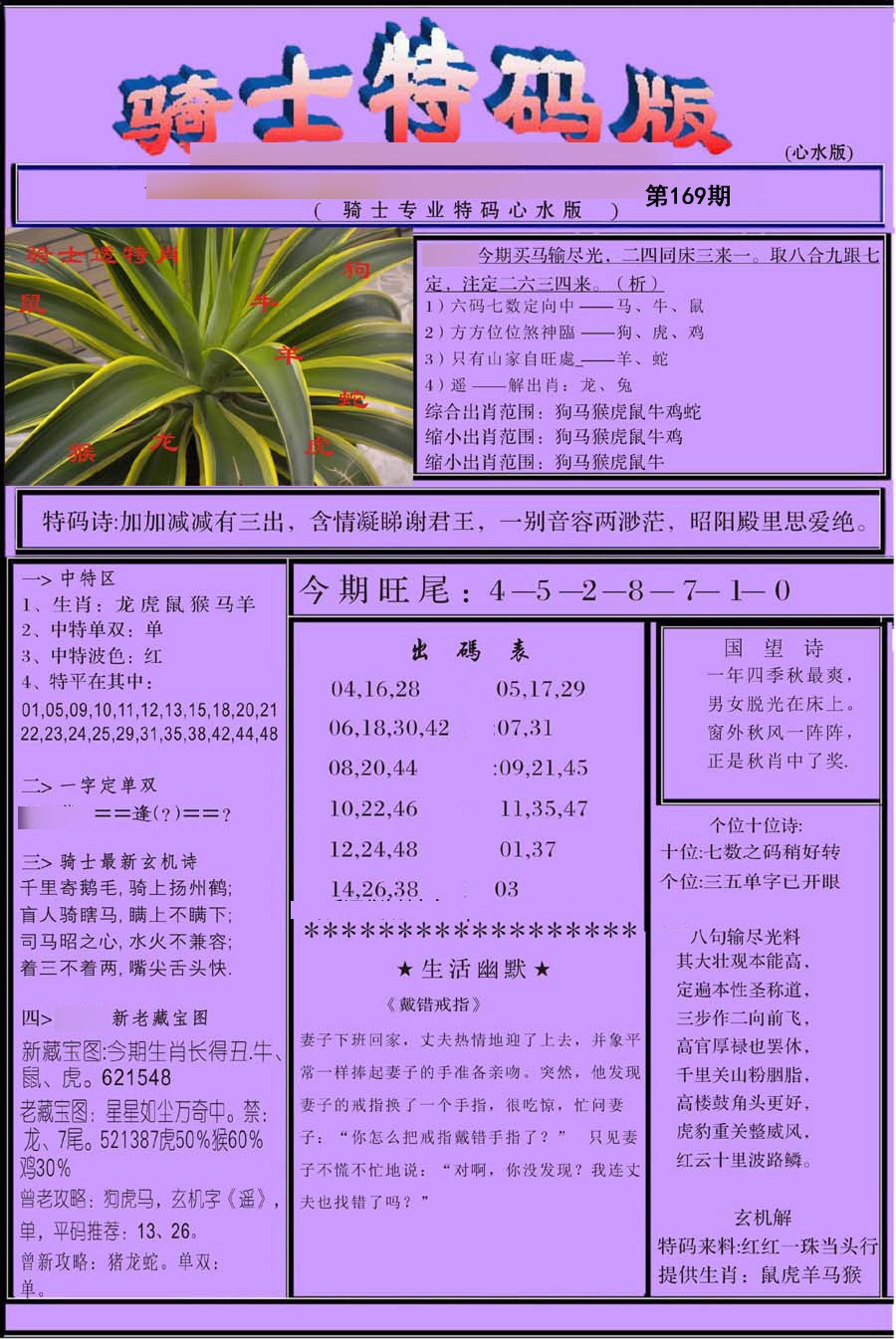 骑士特别