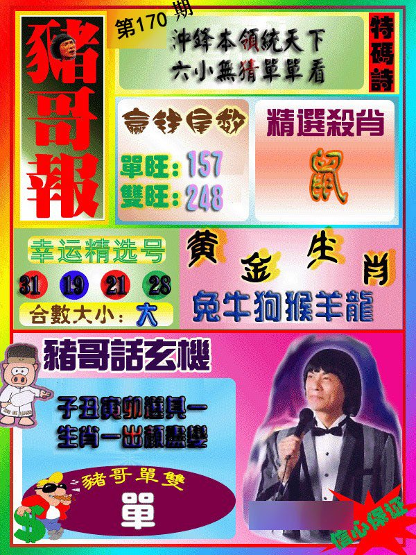猪哥报