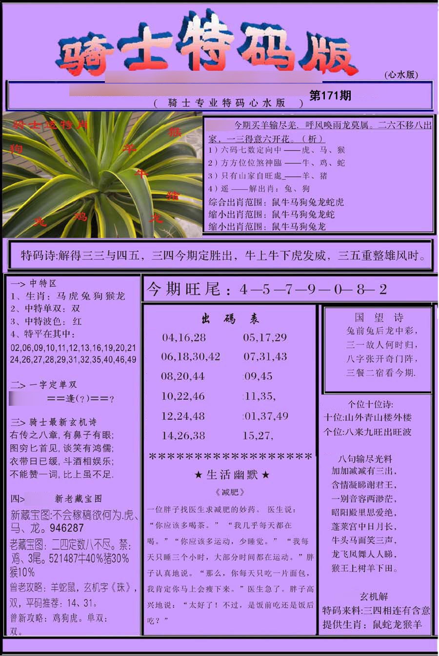 骑士特别