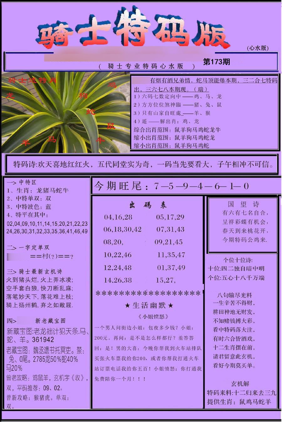 骑士特别