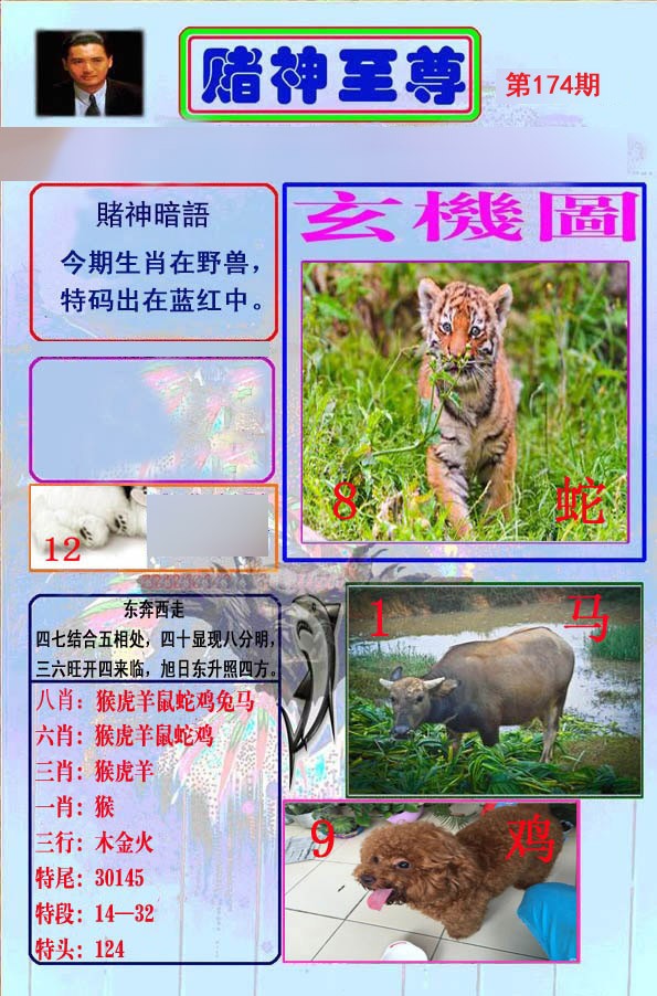 至尊报