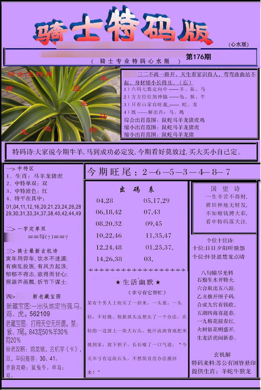 骑士特别