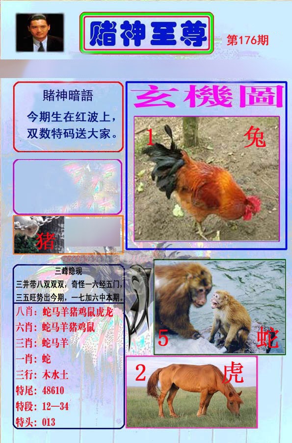 至尊报