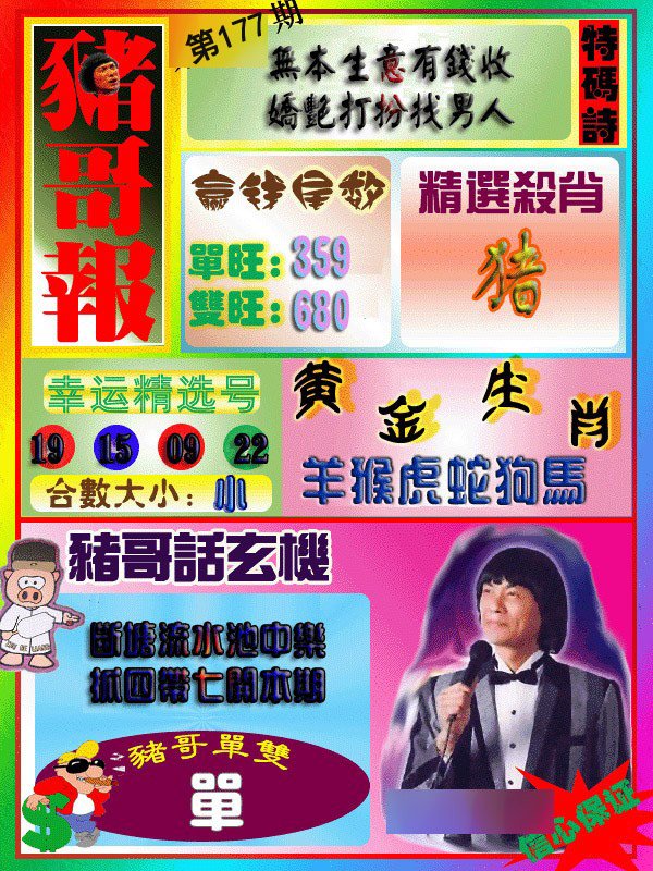 猪哥报