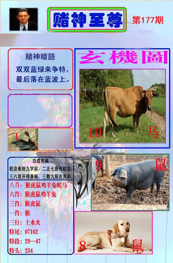 至尊报