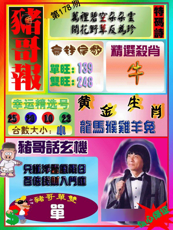 猪哥报