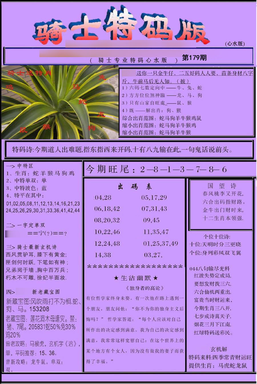骑士特别