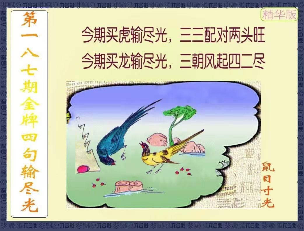 更新中...