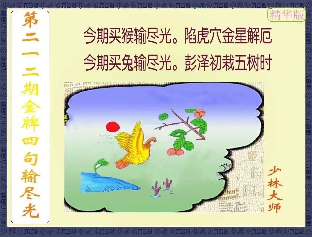 更新中...