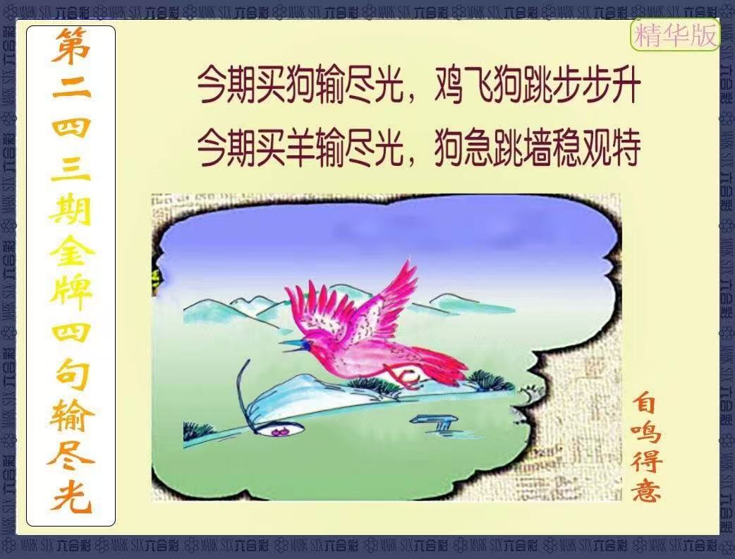 更新中...