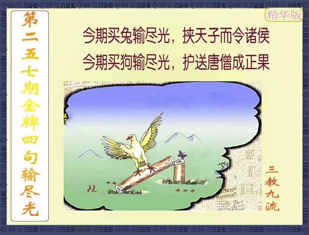 更新中...